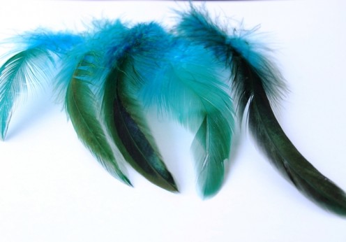 PantherMedia 9548482