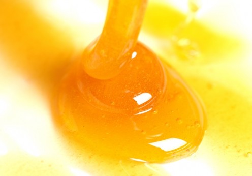 PantherMedia A13446371