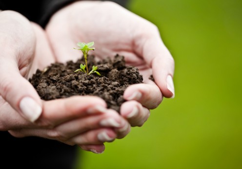 PantherMedia 3719695