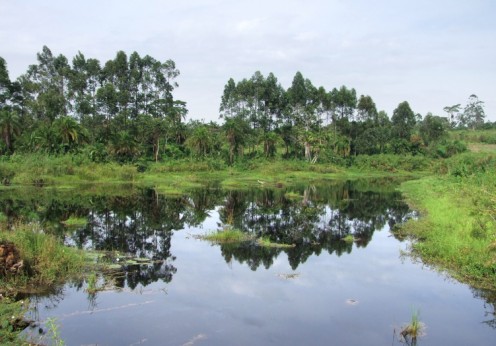 PantherMedia 6559153