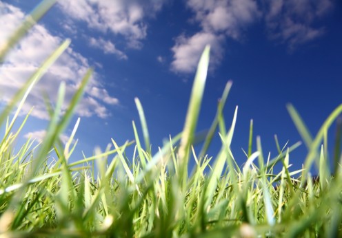 PantherMedia 6652009