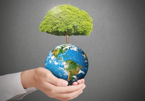 PantherMedia A22274202